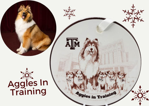 Texas A&M Ornaments | Aggies In Training | The Reveille Collection |